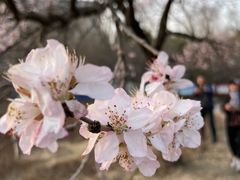 -长春市南湖公园