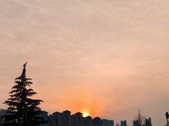 -洛阳市隋唐城遗址植物园