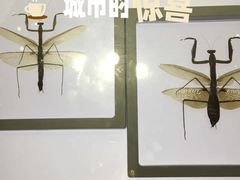 -上海昆虫博物馆
