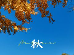 -南海子公园