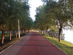 -艾溪湖湿地公园