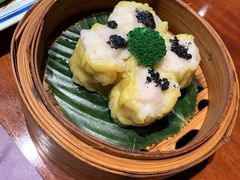-点都德·毕德寮