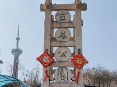 -南京古林公园