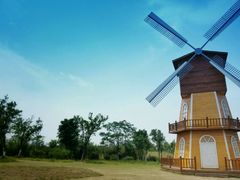 -瑶湖郊野森林公园