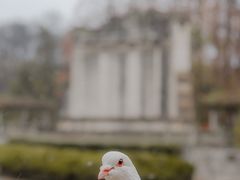 -音乐台