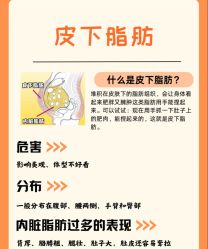 -Fundi张玉珊修身堂·indiba·BTL科技瘦身
