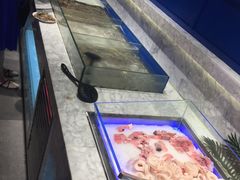 海鲜-火锅岛潮牌自助餐厅(天津天佑城店)