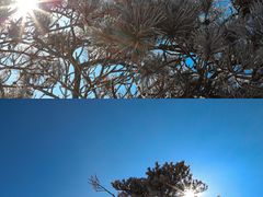 -沂蒙山旅游区云蒙景区(蒙山国家森林公园)