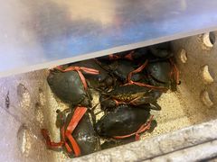 -莲花公园煎蟹(总店)