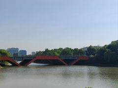 -皇粮浜湿地公园