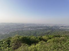 -紫金山山顶公园