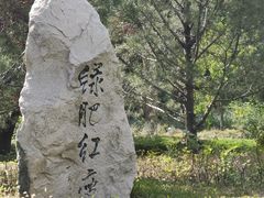 -百脉泉景区