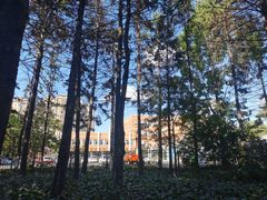 -黑龙江省森林植物园