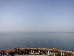 -宾朋海鲜饭庄(兴海路店)