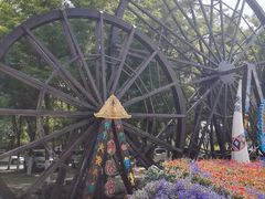 -呀路古热带植物园