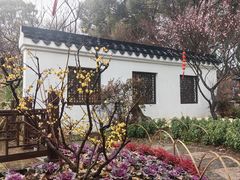 -无锡梅园公园