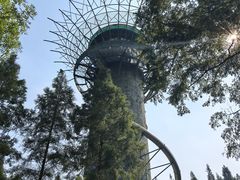 -黄海国家森林公园