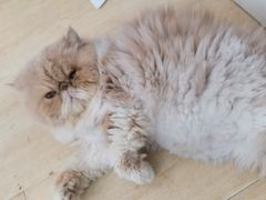 -鑫亮视光·蔡司品牌折扣店·配镜(哈工大科学园店)