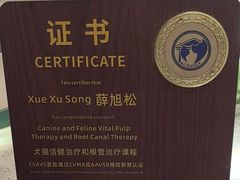 -心仪动物医院·牙专科·肿瘤·心脏科(西客站院)