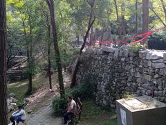 -原山国家森林公园