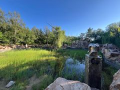 -红山国家森林公园