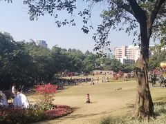 -广州雕塑公园
