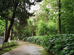 -菊花台公园