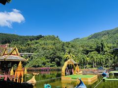 -西双版纳原始森林公园