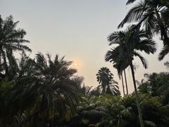 -中国科学院西双版纳热带植物园
