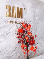 -3AM HAIR SALON染发接发