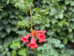 -周口店坡峰岭风景区