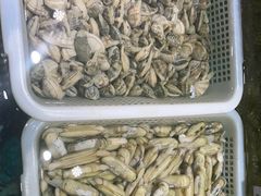 -宝燕壹号(徐汇店)