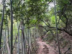 -莫干山风景区