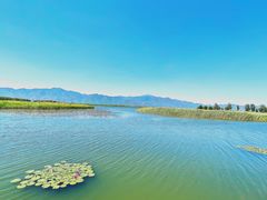 -野鸭湖国家湿地公园