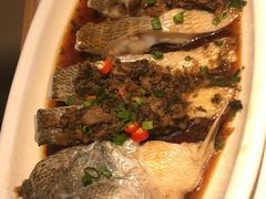 -千日贺茶餐厅(高新万达店)