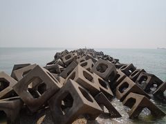 -东疆建设开发纪念公园