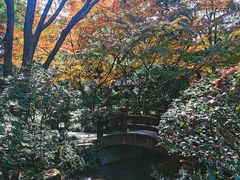 -中国茶叶博物馆(双峰馆区)