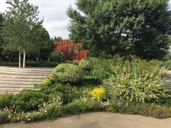 -合肥滨湖国家森林公园