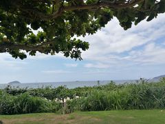 -三亚亚龙湾天域度假酒店