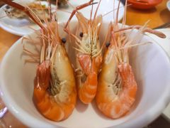-威珀斯酒店·珀萃美食餐厅 | 海鲜刺身·现烤生蚝·特色烤肉