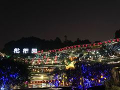-枇杷园食为鲜火锅(南山店)