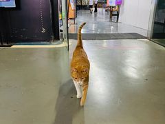 -蓝天射箭馆·专业射箭运动(诚丰广场店)