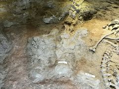 -世界恐龙谷景区