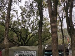 -宁波市保国寺古建筑博物馆