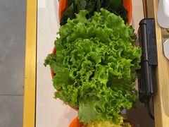 -浪里寻·臻牛养生牛肉火锅(方圆荟店)