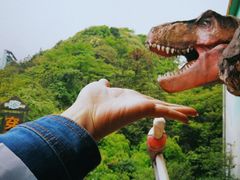 -梦幻奥陶纪景区