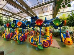 -南宫五洲植物乐园