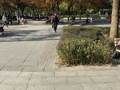 -南翔镇银翔湖公园