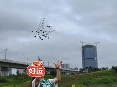 -光明小镇欢乐田园