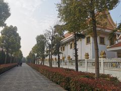 -洛阳白马寺